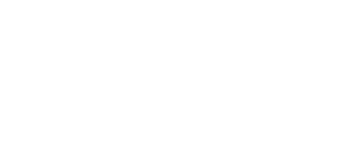 The Bricks SRA Winner 2020